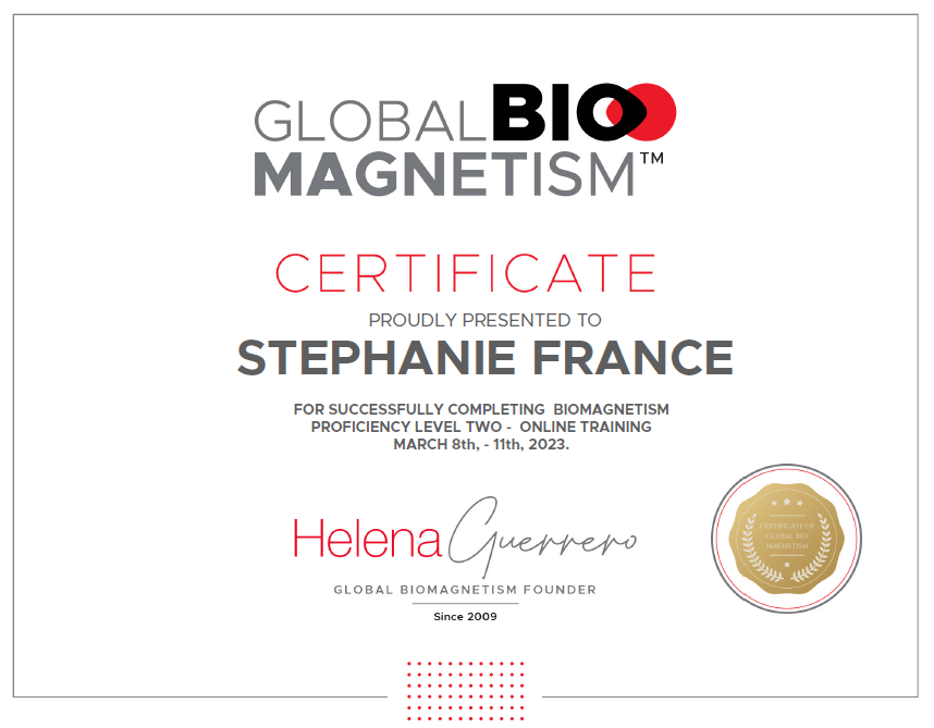 global-biomagnetism-certificate-2023